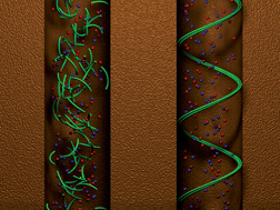 Graphical abstract: Electrostatic-driven pattern formation in fibers, nanotubes and pores