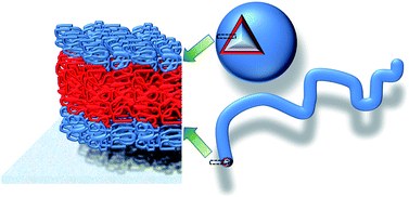 Graphical abstract: Biomimetic triblock copolymer membranes: from aqueous solutions to solid supports