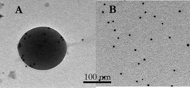 Graphical abstract: Structure–activity relationships of Candida rugosalipase immobilized on polylactic acid nanoparticles