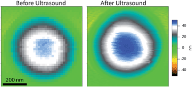 Graphical abstract: Response of interfacial nanobubbles to ultrasound irradiation