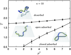 Graphical abstract: Semiflexible magnetic filaments near attractive flat surfaces: a Langevin dynamics study