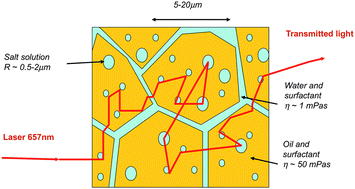 Graphical abstract: Simple transmission measurements discriminate instability processes in multiple emulsions