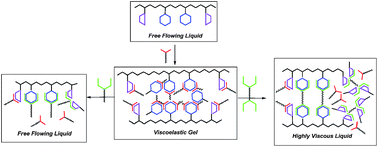 Graphical abstract: Modulating mechanical properties of self-assembled polymer networks by multi-functional complementary hydrogen bonding