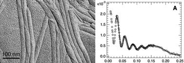 Graphical abstract: Modification of self-assembled nanotubes by click chemistry generates new nanotubes by an out-of equilibrium process