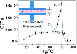 Graphical abstract: Volume confinement induced microstructural transitions and property enhancements of supramolecular soft materials