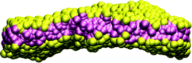 Graphical abstract: Verifying scalings for bending rigidity of bilayer membranes using mesoscale models