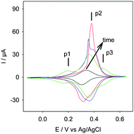 Graphical abstract: Large distribution in the Donnan potential of hexacyanoferrate anions permeating in and partially dissolving (PAH-HA)n polyelectrolyte multilayer films