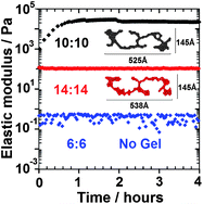 Graphical abstract: Effects of chain length on oligopeptide hydrogelation