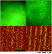 Graphical abstract: Patterning of proteins into nanostripes on Si-wafer over large areas: a combination of Langmuir–Blodgett patterning and orthogonal surface chemistry