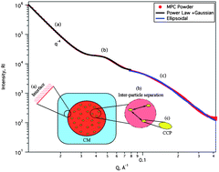 Graphical abstract: Structure of casein micelles in milk protein concentrate powders viasmall angle X-ray scattering