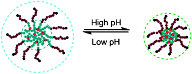 Graphical abstract: Direct synthesis of pH-responsive polymer nanoparticles based on living radical polymerization and traditional radical polymerization