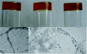 Graphical abstract: Nanocomposites combining conducting and superparamagnetic components prepared via an organogel