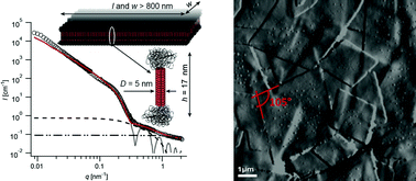 Graphical abstract: Pluronic and β-cyclodextrin in water: from swollen micelles to self-assembled crystalline platelets