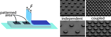 Graphical abstract: Mechanical tuning of adhesion through micro-patterning of elastic surfaces