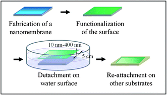 Graphical abstract: Manipulation of surface properties: the use of nanomembrane as a nanometre-thick decal