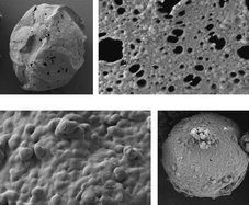 Graphical abstract: Permeability control in stimulus-responsive colloidosomes