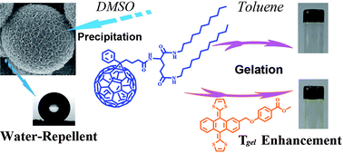 Graphical abstract: Self-assembly of a new C60 compound with a L-glutamid-derived lipid unit: formation of organogels and hierarchically structured spherical particles