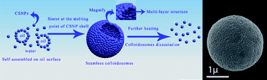 Graphical abstract: Colloidosomes constructed by the seamless connection of nanoparticles: a mobile and recyclable strategy to intelligent capsules