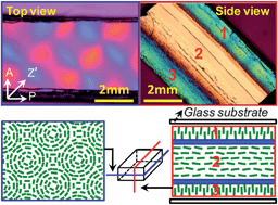 Graphical abstract: Hydrogel with cubic-packed giant concentric domains of semi-rigid polyion complex