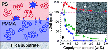 Graphical abstract: Block copolymer self-organization vs. interfacial modification in bilayered thin-film laminates