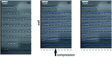 Graphical abstract: On the measurement of the surface pressure in Langmuir films with finite shear elasticity