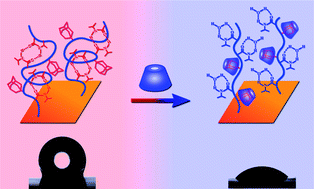 Graphical abstract: Tuning surface wettability through supramolecular interactions