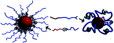 Graphical abstract: Metallo-supramolecular block copolymer micelles: recent achievements