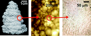 Graphical abstract: Aqueous foams stabilized solely by particles