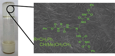 Graphical abstract: Amino acid based low-molecular-weight tris(bis-amido) organogelators