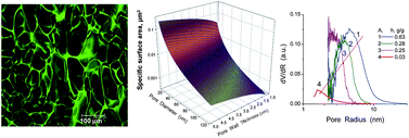 Graphical abstract: Porous structure and water state in cross-linked polymer and protein cryo-hydrogels