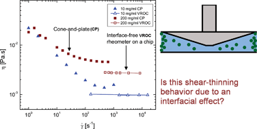 Graphical abstract: Rheology of globular proteins: apparent yield stress, high shear rate viscosity and interfacial viscoelasticity of bovine serum albumin solutions