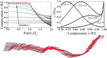 Graphical abstract: Semiflexible filaments subject to arbitrary interactions: a Metropolis Monte Carlo approach