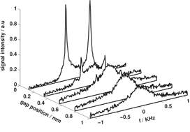 Graphical abstract: Planar lamellae and onions: a spatially resolved rheo–NMR approach to the shear-induced structural transformations in a surfactant model system