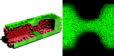 Graphical abstract: Crystallization and intermittent dynamics in constricted microfluidic flows of dense suspensions