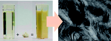 Graphical abstract: Exfoliation and liquid crystal phase formation of layered double hydroxide into waterborne polyurethane coatings