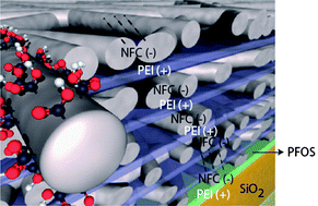 Graphical abstract: Design and characterization of cellulose nanofibril-based freestanding films prepared by layer-by-layer deposition technique