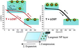 Graphical abstract: Conformational induced behaviour of copolymer-capped magnetite nanoparticles at the air/water interface