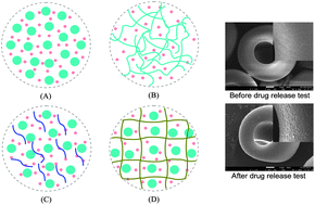 Graphical abstract: A single step assembly of uniform microparticles for controlled release applications