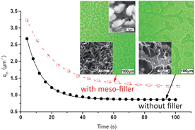 Graphical abstract: Enhanced viscoelastic effect of mesoscopic fillers in phase separation