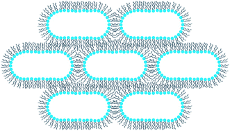 Graphical abstract: A lyotropic inverse ribbon phase in a branched-chain polyoxyethylene surfactant: pressure effects