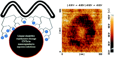 Graphical abstract: Anticancer drug delivery systems based on noncovalent interactions between carbon nanotubes and linear–dendritic copolymers