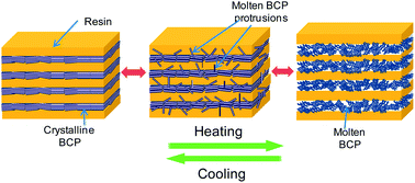 Graphical abstract: Permeable nanoconfinement of hierarchical block copolymer volume gratings
