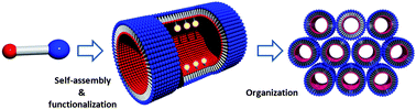 Graphical abstract: Retracted Article: Supramolecular organic nanotubes: how to utilize the inner nanospace and the outer space