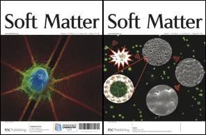 Graphical abstract: Front cover