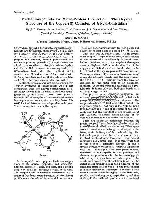 Model compounds for metal–protein interaction. The crystal structure of the copper(II) complex of glycyl-L-histidine