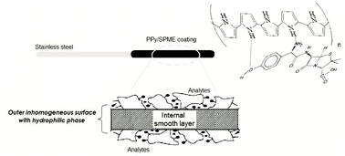 Graphical abstract: A novel approach to the rapid determination of amoxicillin in human plasma by solid phase microextraction and liquid chromatography