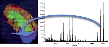 Graphical abstract: Molecular imaging and depth profiling by mass spectrometry—SIMS, MALDI or DESI?