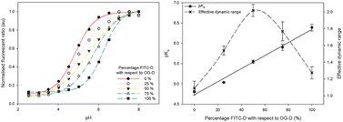 Graphical abstract: Dual-fluorophore ratiometric pH nanosensor with tuneable pKa and extended dynamic range