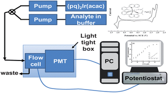 Graphical abstract: Evaluation of electrogenerated chemiluminescence from a neutral Ir(iii) complex for quantitative analysis in flowing streams