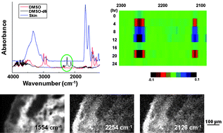 Graphical abstract: Characterization of porcine skin as a model for human skin studies using infrared spectroscopic imaging